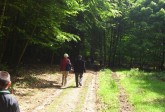 Wandeling Kasteel Middachten